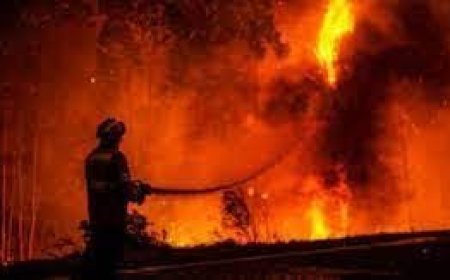 حريق يلتهم محل للأدوات المنزليه بدسوق بكفرالشيخ