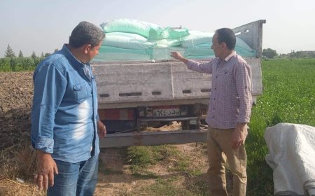 ضبط سيارة محملة بـ 150 شيكارة دقيق مدعم بحوش عيسى