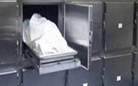 مصرع شاب لسقوطه من نافذة منزل بقرية بكفر الشيخ 