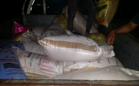 ضبط 65 طن و 705 كيلو قمح انتاج 2023 قبل بيعهما فى السوق السوداء بكفر الشيخ  