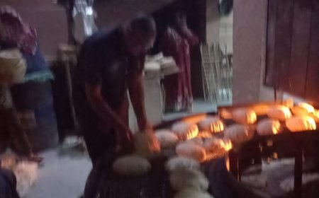 محافظ كفر الشيخ: 154 محضراً متنوعاً لأصحاب المخابز بمراكز المحافظة واستمرار الحملات يومياً