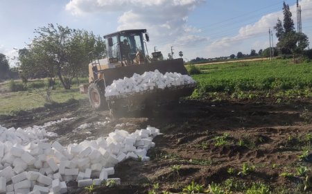 محافظ كفر الشيخ: تنفيذ 10 قرارات إزالة تعديات علي أراضي الدولة في بيلا ضمن «الموجة الـ21»