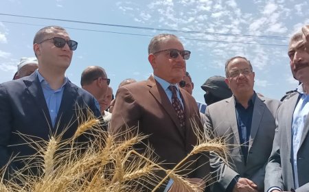 محافظ كفر الشيخ: توريد 241 ألفا  و43 طنا و 207 كيلو قمح بنسبة توريد 86.29%