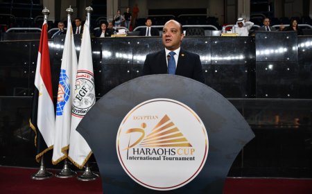 إيهاب أمين: اتحاد الجمباز يسير بخطى ثابتة نحو تحقيق ميدالية أولمبية 