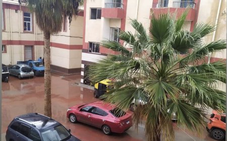 إقامة مبنى للقسطرة وتوريد أحدث الأجهزة موجها الشكر للمشاركة الاجتماعية من أهالي دسوق بكفرالشيخ