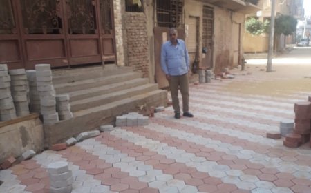 بمراكز كفر الشيخ .. رصف بالانترلوك وندوة توعوية عن الأضاحي و98%نسب تنفيذ مشروعات الصرف بـ 3 قرى 