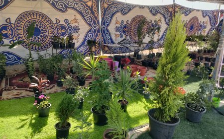 معرض الزهور علي ساحل البحر يرسل رسالته بعوده سيناء آمنه