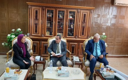 في ظل الزياده السكانيه لمدينه العريش إنشاء حيز عمراني ابتداءا من الكيلو 17