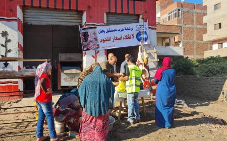 مستقبل وطن بالسنطة يستأنف ذبح اللحوم الطازجة بأسعار مخفضة بكفرميت حواى