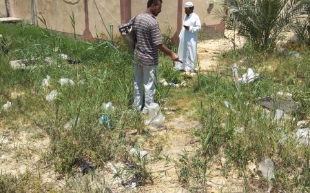 حمله تطهير للحشرات والقوارض بقريه مزار ببئر العبد