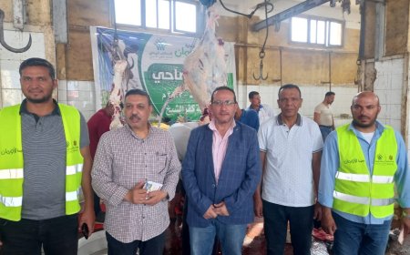 محافظ كفر الشيخ: 16 مجزراً يستقبل 1498 رأس ماشية وتقديم كافة الخدمات مجاناً