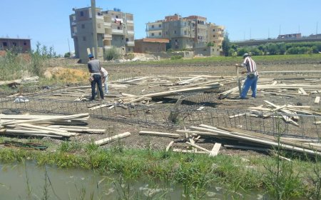 محافظ كفر الشيخ يعلن عن إزالة فورية لـ 50 حالة تعدي على أراضى زراعية واستمرار الحملات 