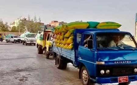 توريد أكثر من 262 ألف و 782 طن قمح للشون والصوامع بكفرالشيخ