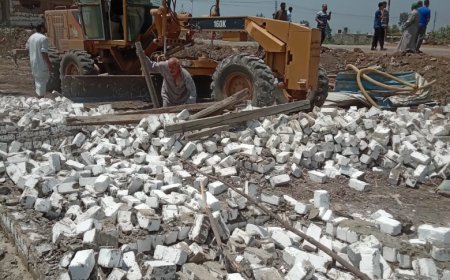 إزالة التعديات على الاراضي الزراعية وحملات نظافة بقلين بكفرالشيخ