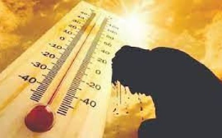 برنامج المناخ العالمي يحذر من ارتفاع الحرارة: «الناس هتتفاجئ بحاجات غير متوقعة»