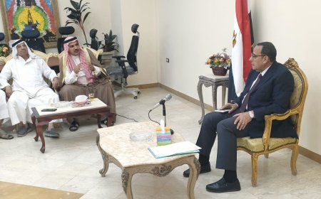 سيناء سله غذاء مصرشوشه يعلن عن  زراعه ٣٥١ فدان في وسط سيناء