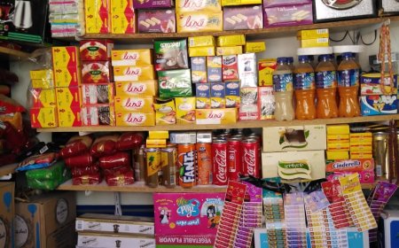 أورمان كفر الشيخ : مليون و120ألف جنيه لتنمية 112 مشروع للحالات الأولى بالرعاية ضمن حياة كريمة