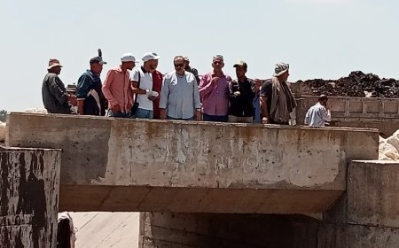 حملات إزالة تعديات واشغالات وتبطين الترع ورفع كفاءة الانارة بعدد من مراكز كفر الشيخ