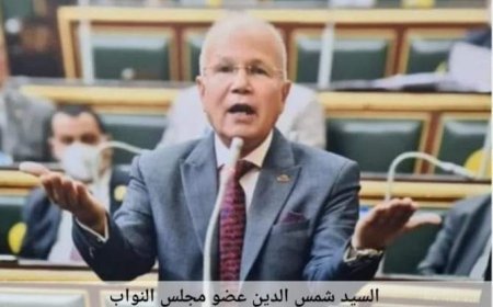 "النائب شمس الدين إنضمام مصر لتجمع بريكس ما كان ليحدث لولا الجهود الحثيثة من القيادة السياسية وكل مؤسسات الدولة "