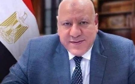 "عبد الونيس عضو مجلس الشيوخ إنضمام مصر لتجمع بريكس الاقتصادى مكسب كبير وفرصة لزيادة التعاون الاقتصادى مع دول التجمع