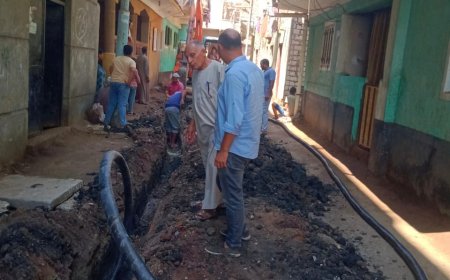 محافظ كفر الشيخ: حملات نظافة ورفع كفاءة الطرق وزراعة الأشجار واستمرار أعمال التطوير