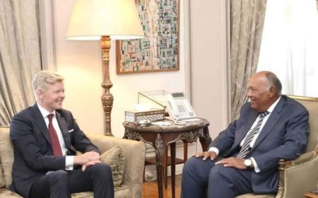 سامح شكري يلتقي المبعوث الأممي إلى اليمن