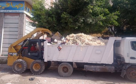 إزالة 11 حالة تعدي واستمرار حملات النظافة وزراعة الأشجار وأعمال التطهير بكفرالشيخ