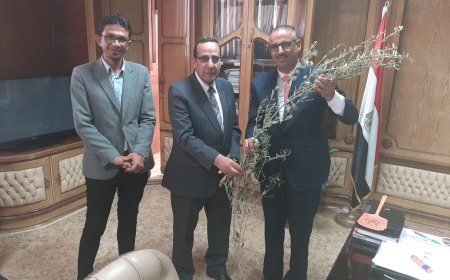 هنجملها تهدي محافظه شمال سيناء 3آلاف شجره زيتون