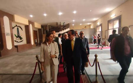 شوشه يستقيل وزيره الثقافه بشمال سيناء