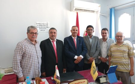 400شجره زيتون تهديها مؤسسه هنجملها للمعاهد الازهريه بالعريش