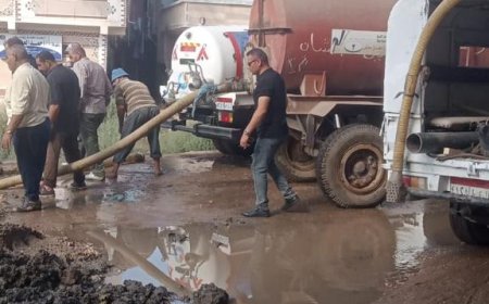 صيانة أكشاك الكهرباء وإصلاح خط مياه وتهذيب الأشجار بالمنشآت الحكومية في بيلا  