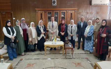 شوشه تخصيص قطعه أرض لإنشاء مقر لمجلس القومي للمرأه