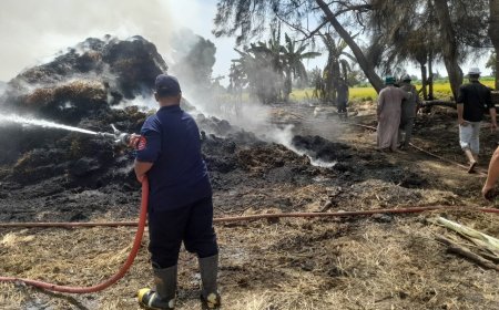 محافظ كفر الشيخ: حملات مستمرة وتحرير 10 محاضر للمخالفين لحرقهم قش الأرز وسيارات الدفاع المدني تخمدها