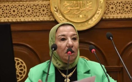 النائبة حياة خطاب: مصر تحتاج السيسي وأراهن علي وعي المصريين لأهمية صوته في حماية النظام الديمقراطي