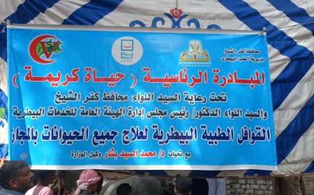 الكشف علي 803 رأسا في القافلة البيطرية المجانية ببيلا