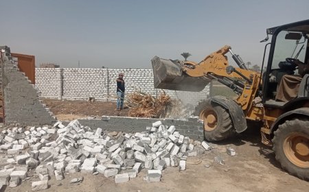 محافظ أسيوط يتابع جهود الوحدات المحلية في مواجهة البناء المخالف وإزالة 9 حالات بمراكز البداري وأبوتيج وصدفا والفتح وحي شرق