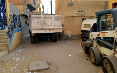 بالصور استمرار رفع كفاءة النظافة والتجميل والاناره العامة بشوارع وأحياء  مدينة سيدي غازي