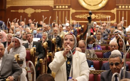 النائبة حياة خطاب: ندعم قرارات الرئيس السيسي تجاه القضية الفلسطينية 