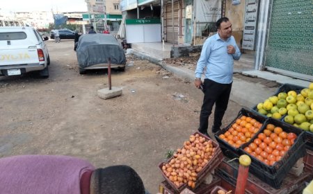 محافظ كفرالشيخ.. تحرير 22 محضر متنوعاً بالحملة الرقابية على المحال التجارية بدسوق