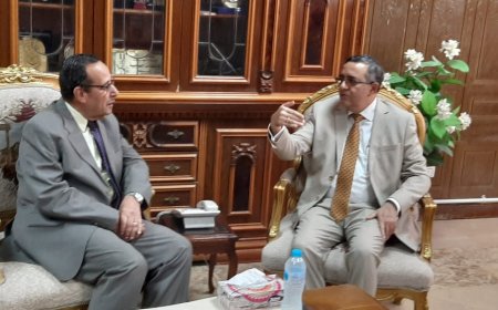 محافظ شمال سيناء 36,5طنا من المساعدات الهنديه لقطاع غزة