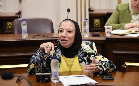 النائبة حياة خطاب: رسائل الرئيس السيسي خلال اصطفاف تفتيش حرب الفرقة الرابعة مطمئنة للمصريين