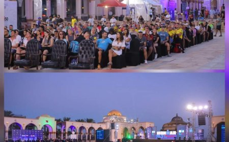 كل ما تريد معرفتة عن بطولة ايرون مان 