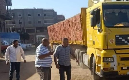 الحامول «خلية نحل» لمنع التعديات علي ثروة مصر القومية 