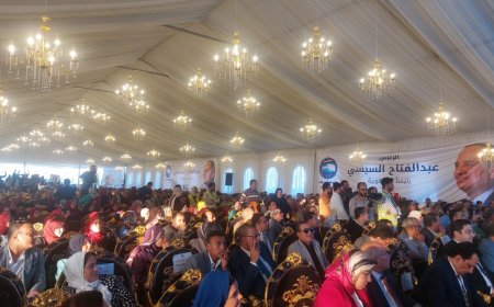 بدأ المؤتمر الجماهيري الحاشد لحزب مستقبل وطن بمحافظة كفرالشيخ