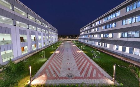 جامعة دمياط  تواصل ظهورها في التصنيفات العالمية