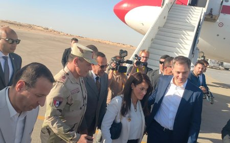 شوشه يستقبل وزيري أسبانيا وبلجيكا بمطار العريش