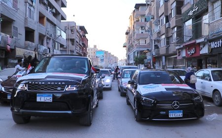 مستقبل وطن كفرالشيخ ينظم مسيرة بالسيارات حاملين الأعلام وصور الرئيس السيسي احتفالا بالفوز الكاسح فى الانتخابات
