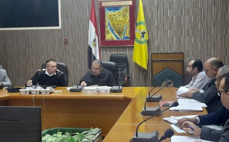 عوده خطوط سير المواصلات بين محافظات الجمهورية لخدمه المغتربين بسيناء