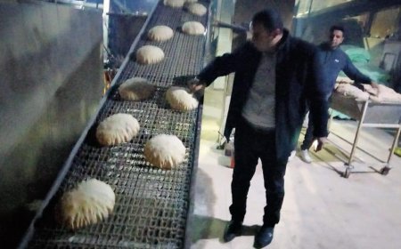 محافظ كفرالشيخ: تحرير ١٩٩ محضرًا متنوعًا خلال حملات تموينية على المخابر والأسواق بمراكز ومدن المحافظة