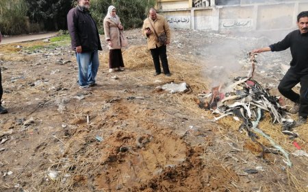 محافظ كفرالشيخ يتابع جهود الوحدة المحلية بمطوبس في الرقابة علي المجازر ومحلات الجزارة  